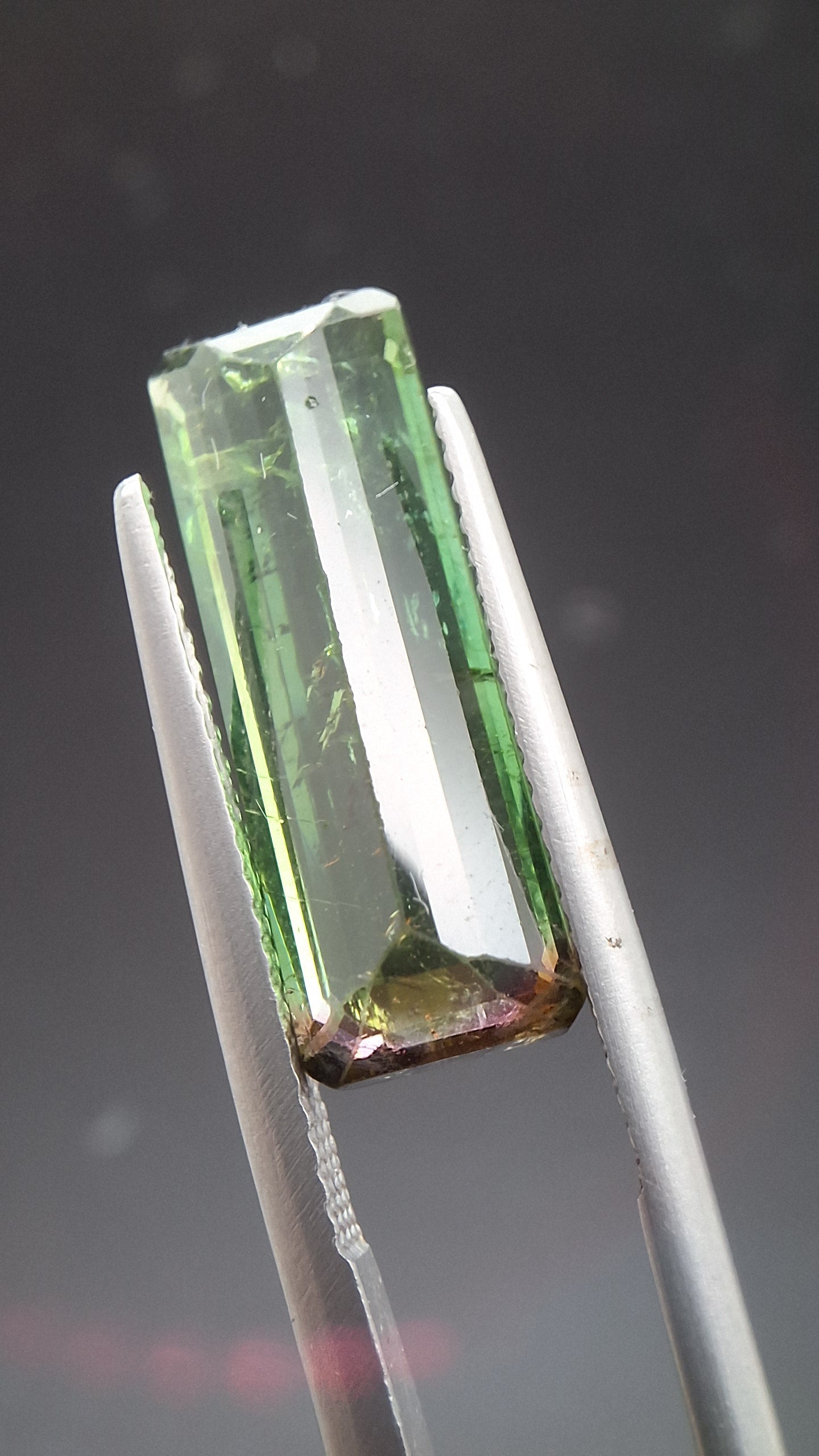 Turmalin bicolore