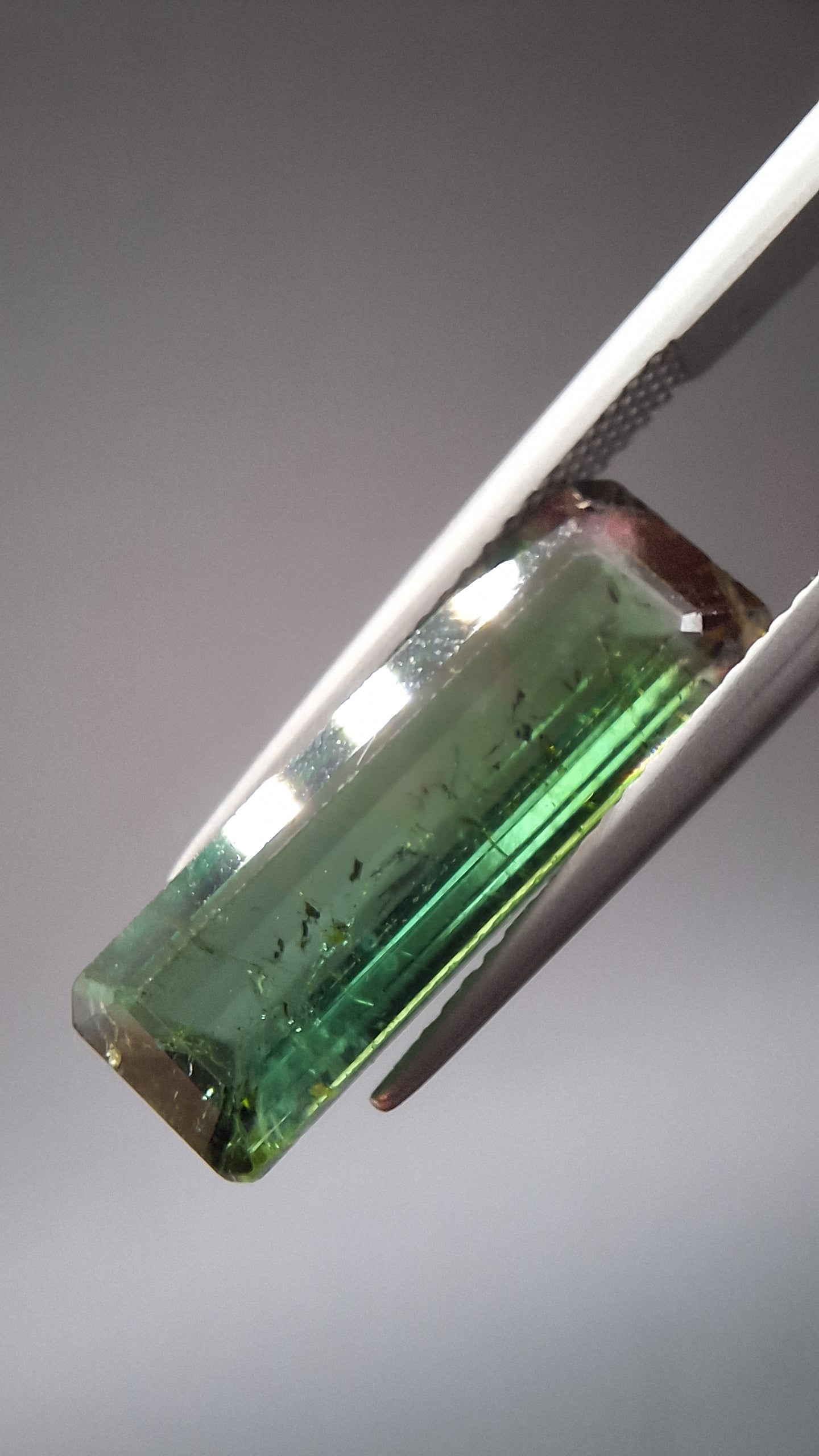 Turmalin bicolore