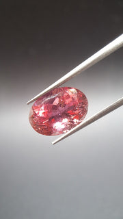 Pink Turmalin