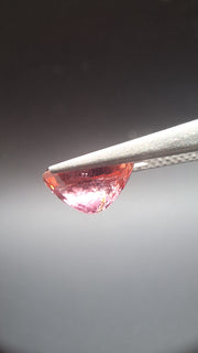 Pink Turmalin