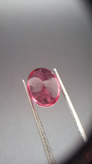 Pink Turmalin