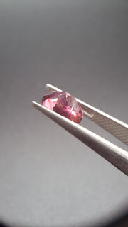 Pink turmalin