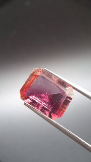 Bicolore pink turmalin