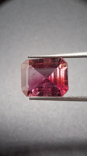 Bicolore pink turmalin