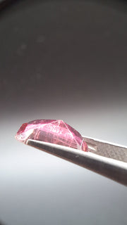 Bicolore pink turmalin