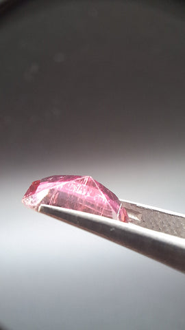 Bicolore pink turmalin