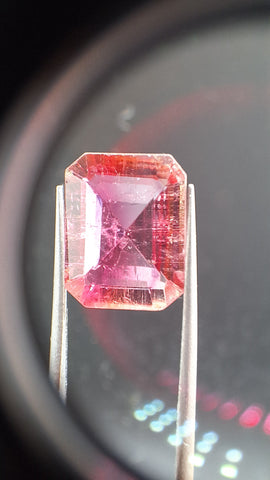 Bicolore pink turmalin