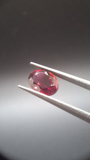 Red Turmalin Lot