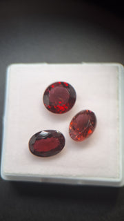 Red Turmalin Lot