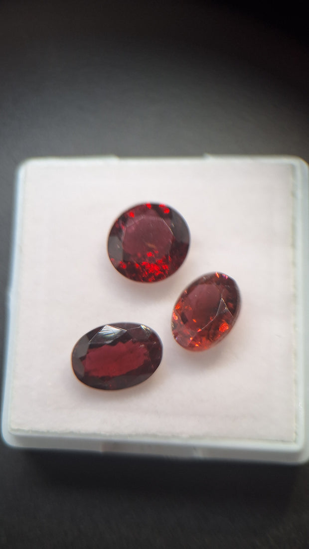 Red Turmalin Lot