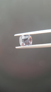 Grey Spinel