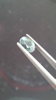 Grey Spinel