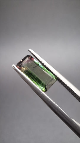 Turmaline Bicolore
