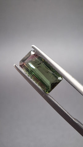 Turmaline Bicolore