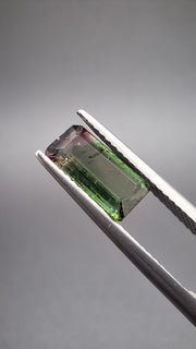 Turmaline Bicolore