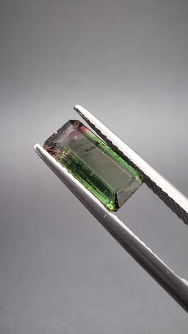 Turmaline Bicolore