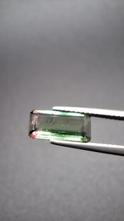 Turmaline Bicolore
