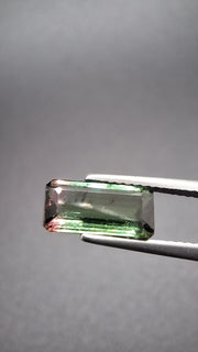 Turmaline Bicolore