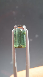Turmaline Bicolore