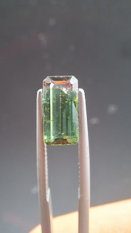 Turmaline Bicolore