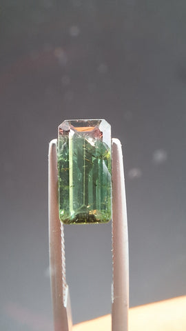 Turmaline Bicolore