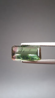 Turmaline Bicolore