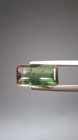 Turmaline Bicolore