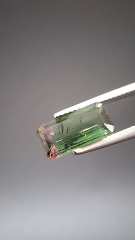 Turmaline Bicolore