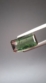 Turmaline Bicolore