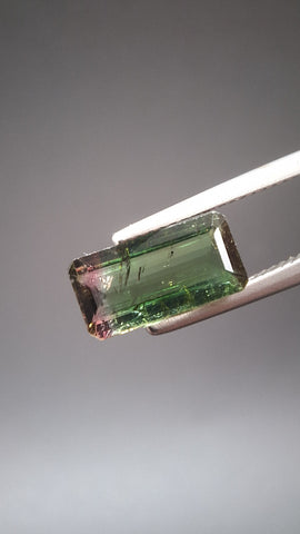 Turmaline Bicolore