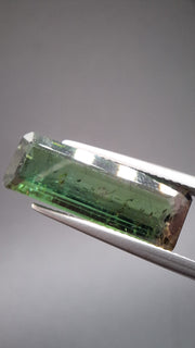 Turmalin bicolore