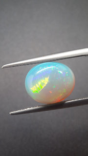 Opal round