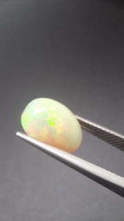 Opal Oval