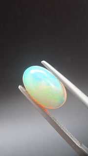 Opal Oval