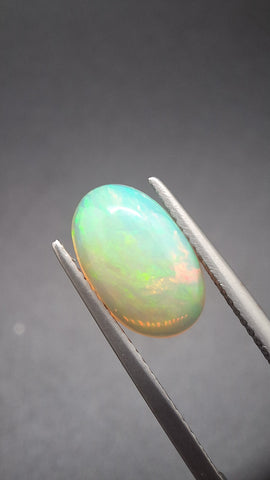 Opal Oval