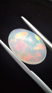 Opal oval