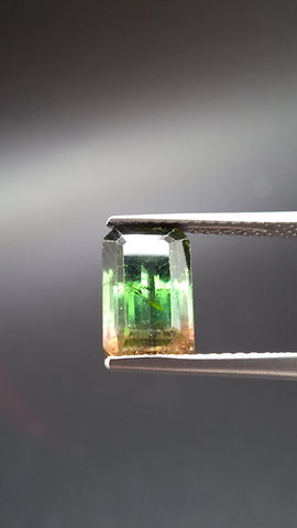 bicolore Turmalin