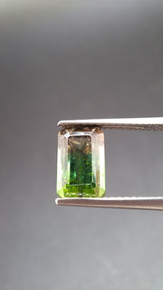 bicolore Turmalin