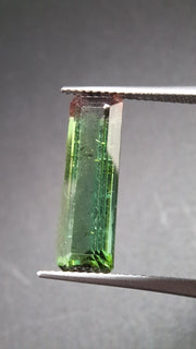 bicolore Turmalin