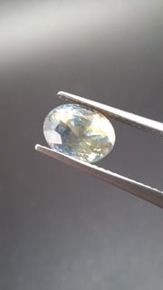 Bicolore Saphire