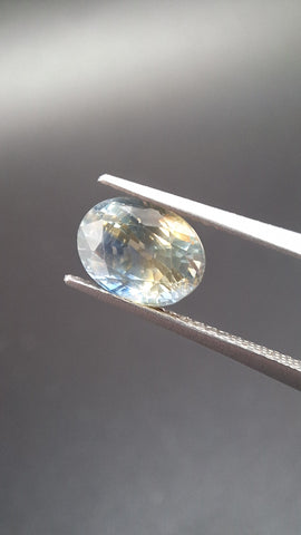 Bicolore Saphire