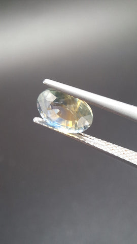Bicolore Saphire