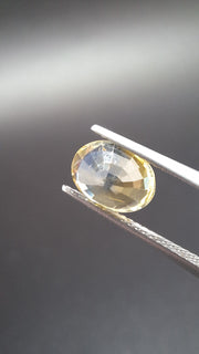 Bicolore Saphire