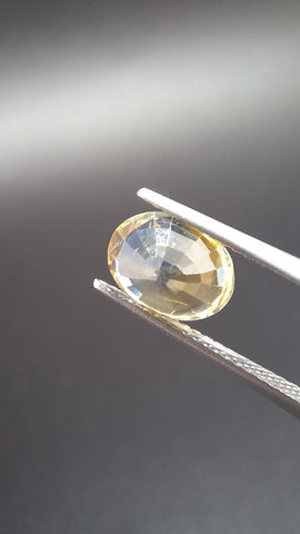 Bicolore Saphire