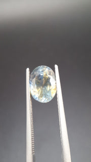 Bicolore Saphire