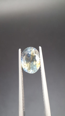 Bicolore Saphire