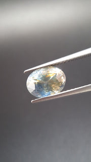 Bicolore Saphire