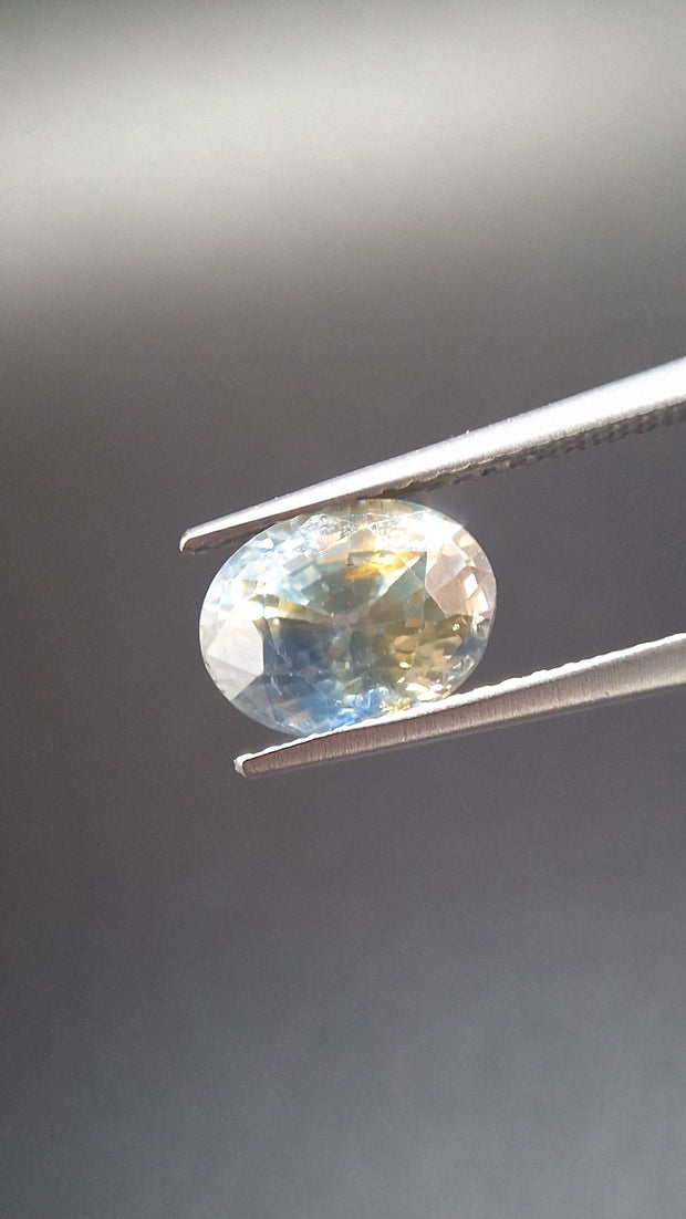Bicolore Saphire