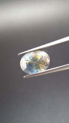 Bicolore Saphire