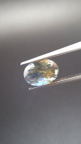 Bicolore Saphire